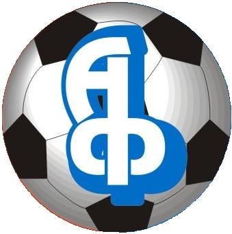  СДЮСШОР «Академия футбола» подводит итоги 2012 года. 